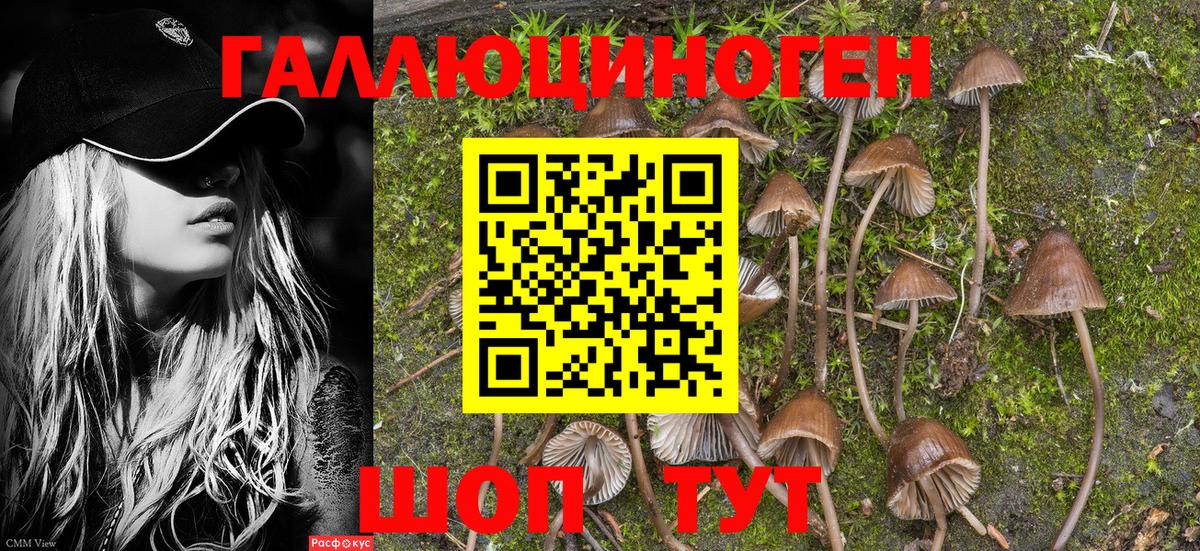 Галлюциногенные грибы мицелий  Псилоцибиновые грибы мухоморы  Вход с VPN  Балашиха 